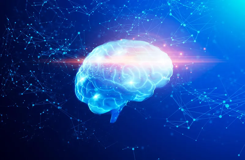 Illustration of a brain representing plasma proteomics research.