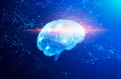 Illustration of a brain representing plasma proteomics research.