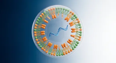 Concept image of lipid nanoparticles for LNP characterization