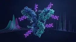 Antibody-oligonucleotide conjugate visualization